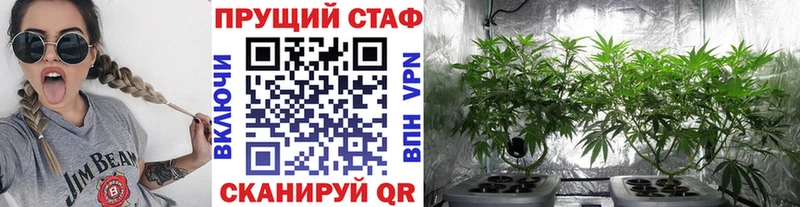 Как найти наркотики Петровск Cocaine A PVP Конопля ГАШ