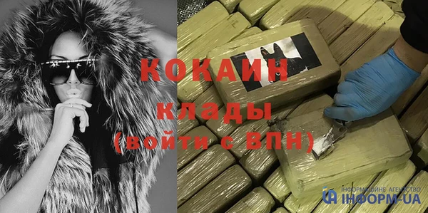 прущие грибы Аркадак
