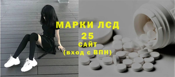 прущие грибы Аркадак