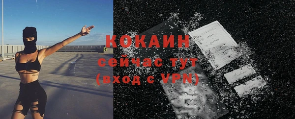 прущие грибы Аркадак