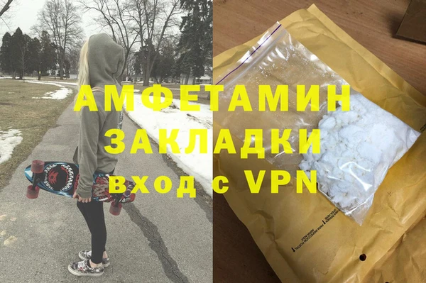 прущие грибы Аркадак